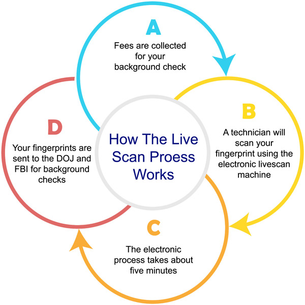 Diagram of the Live Scan Process for Real Estate License Background Check